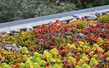 the cost of Ardmair green roof installation
