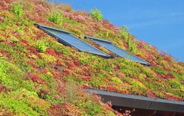 Ardmair living roof systems